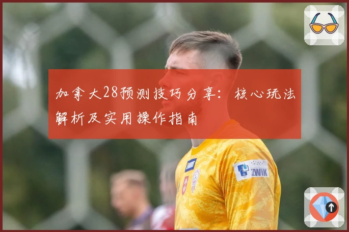 加拿大28预测技巧分享：核心玩法解析及实用操作指南