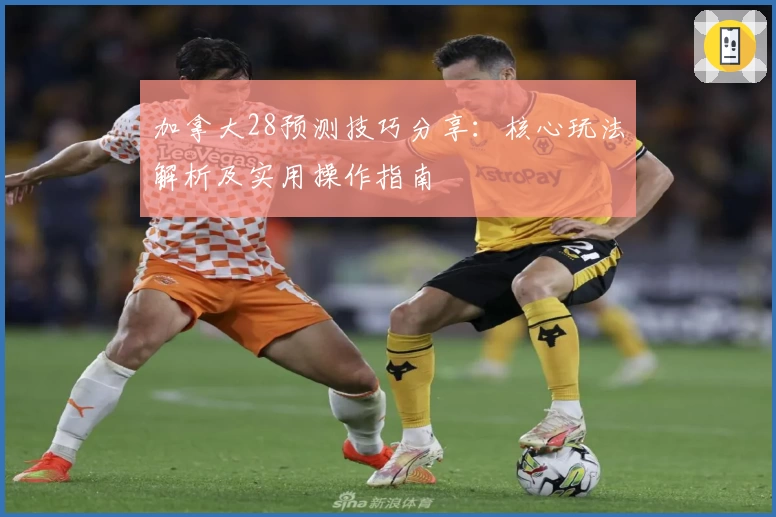 加拿大28预测技巧分享：核心玩法解析及实用操作指南