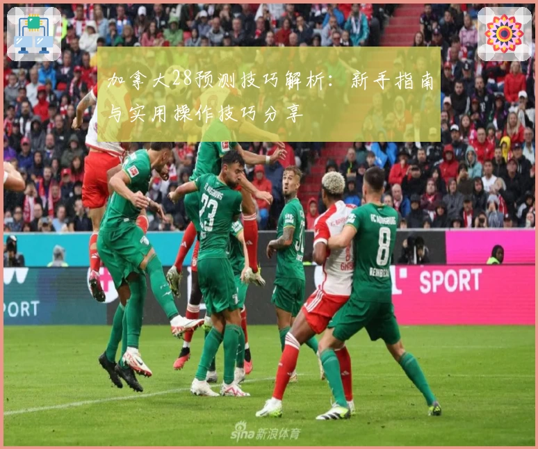 加拿大28预测技巧解析：新手指南与实用操作技巧分享