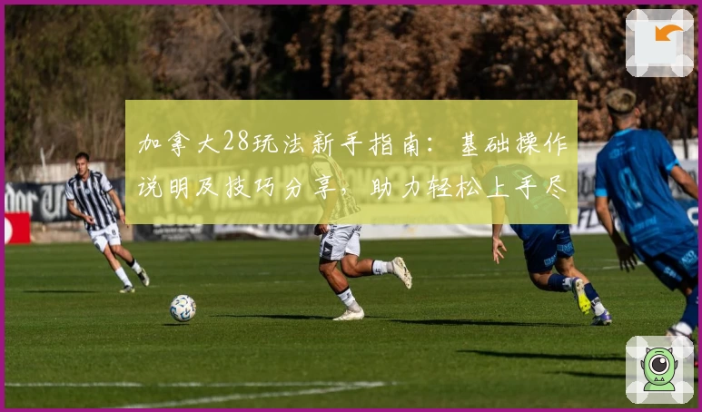 加拿大28玩法新手指南：基础操作说明及技巧分享，助力轻松上手尽享游戏乐趣