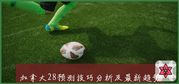 加拿大28预测技巧分析及最新趋势观察，带你全面了解实用方法与精准判断
