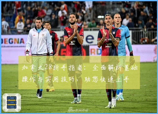 加拿大28新手指南:全面解析基础操作与实用技巧,助您快速上手