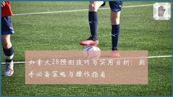 加拿大28预测技巧与实用分析：新手必备策略与操作指南