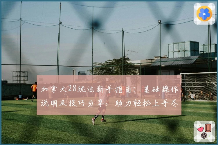 加拿大28玩法新手指南：基础操作说明及技巧分享，助力轻松上手尽享游戏乐趣