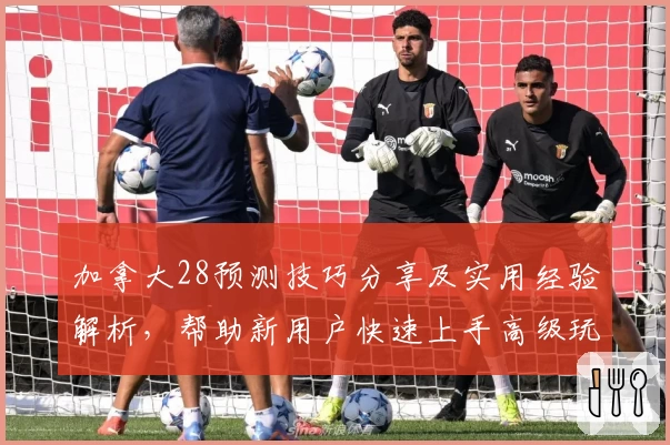 加拿大28预测技巧分享及实用经验解析,帮助新用户快速上手高级玩法
