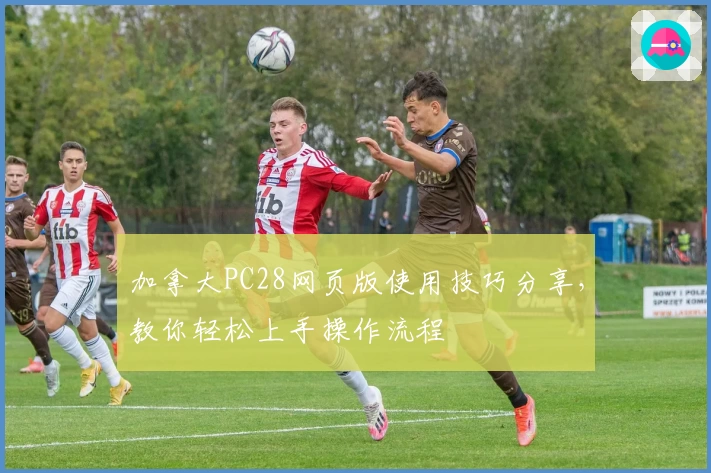 加拿大PC28网页版使用技巧分享，教你轻松上手操作流程