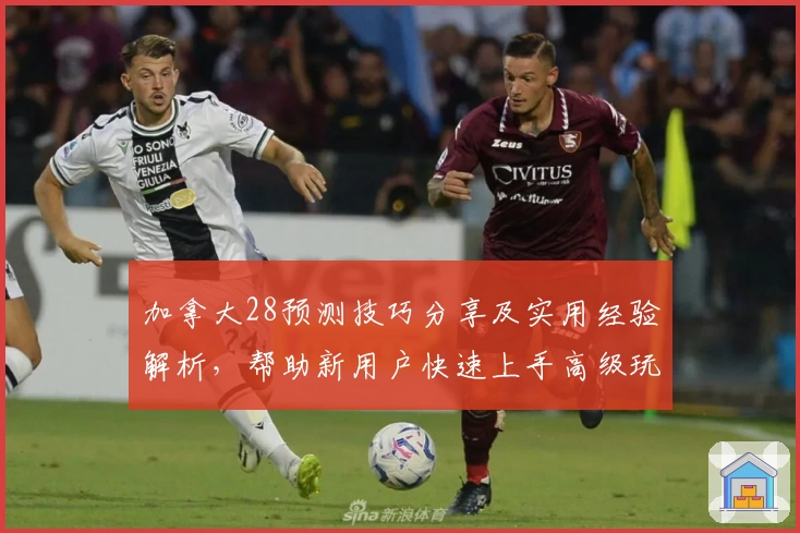 加拿大28预测技巧分享及实用经验解析，帮助新用户快速上手高级玩法