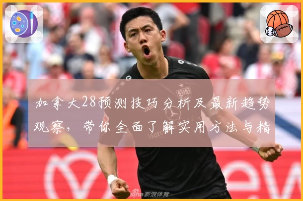 加拿大28预测技巧分析及最新趋势观察，带你全面了解实用方法与精准判断