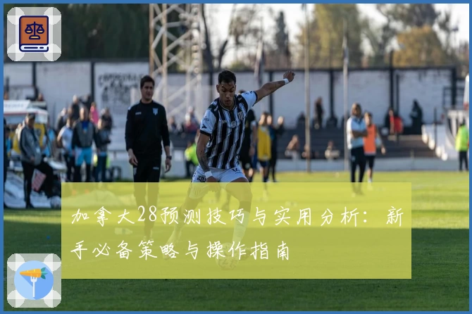 加拿大28预测技巧与实用分析：新手必备策略与操作指南