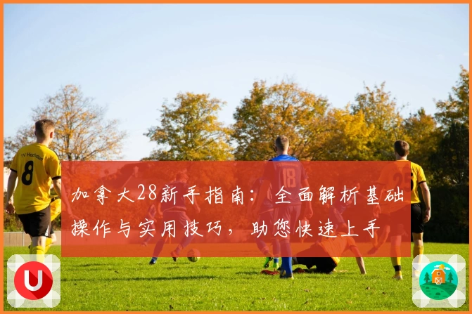 加拿大28新手指南：全面解析基础操作与实用技巧，助您快速上手