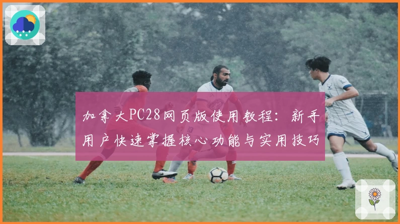 加拿大PC28网页版使用教程：新手用户快速掌握核心功能与实用技巧