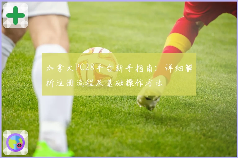 加拿大PC28平台新手指南：详细解析注册流程及基础操作方法