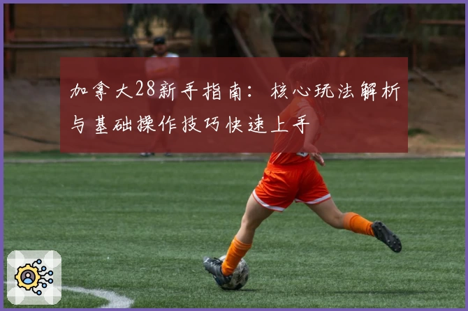 加拿大28新手指南：核心玩法解析与基础操作技巧快速上手