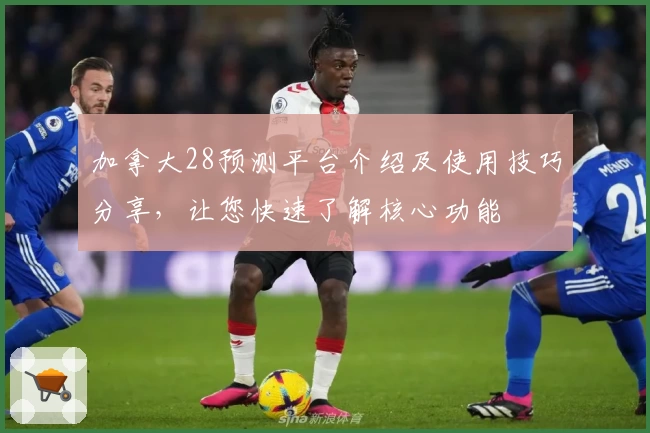 加拿大28预测平台介绍及使用技巧分享,让您快速了解核心功能