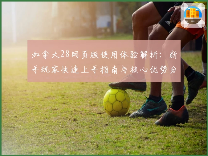加拿大28网页版使用体验解析：新手玩家快速上手指南与核心优势分析