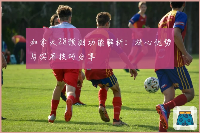 加拿大28预测功能解析：核心优势与实用技巧分享